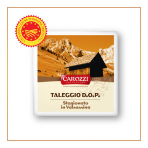 taleggio dop stagionato in valsassina